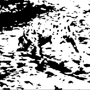 ��������� �����������