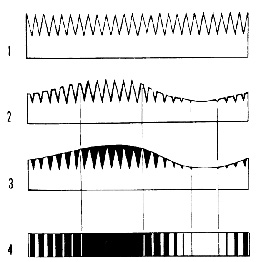 �����-�����, ������ ������